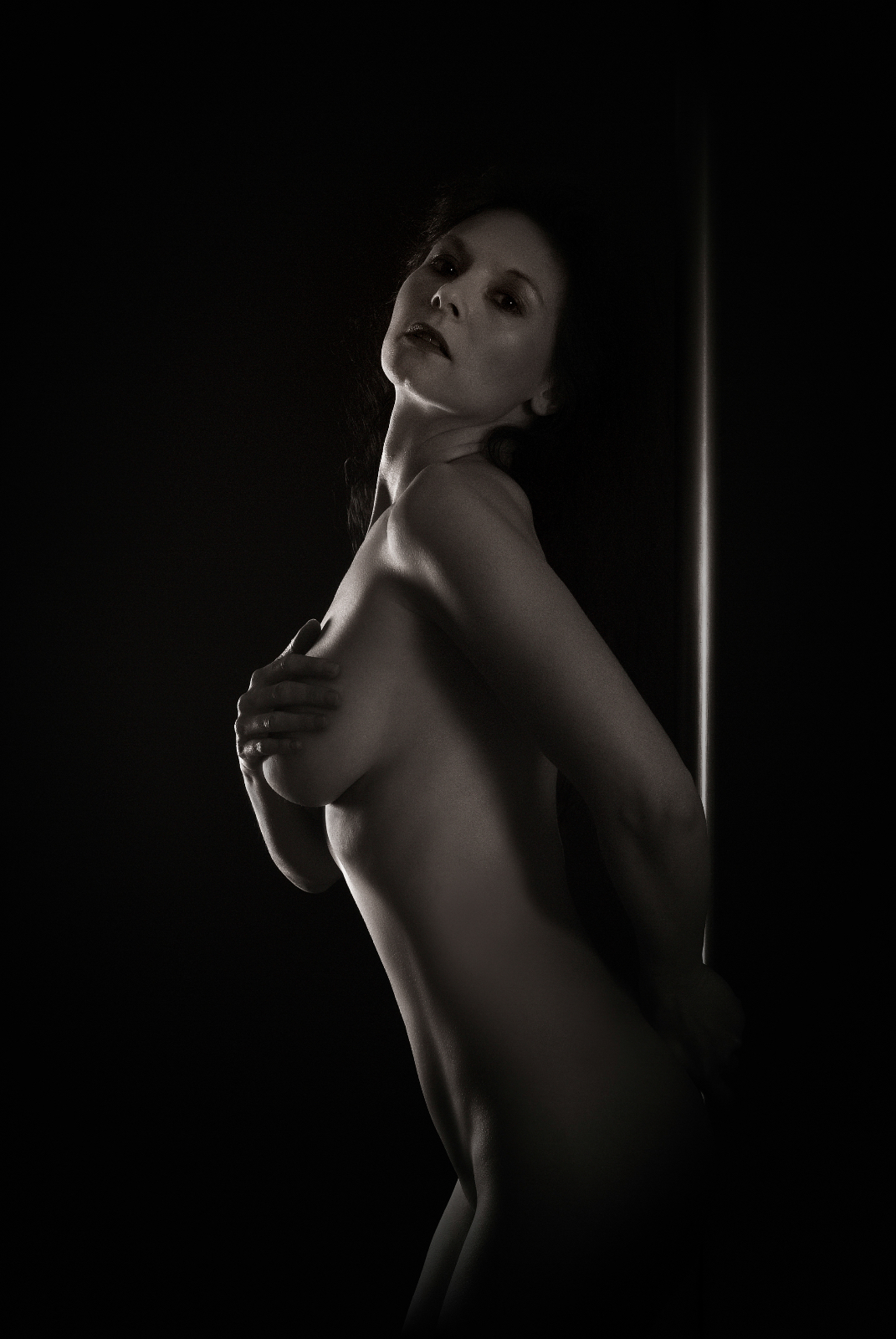  MGL7498 Modifier copie